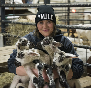 Holly with lambs