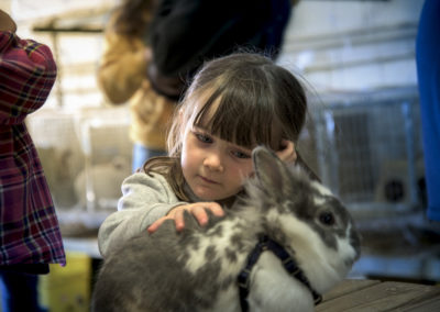 Young girl petting bunny