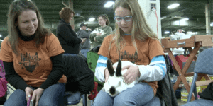 Pingree Farms 4-H Rabbit Show