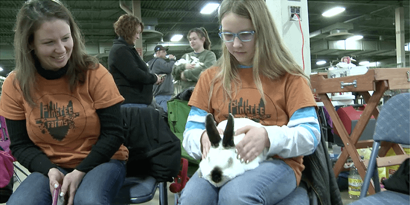 Pingree Farms 4-H at the State Rabbit Show