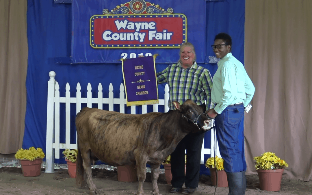 2018 Wayne County Fair